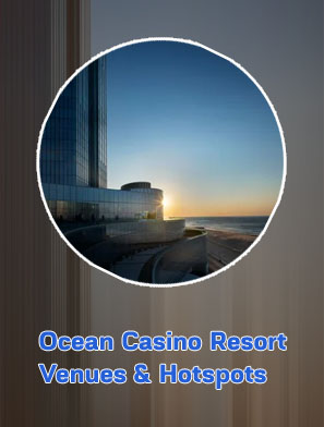 Ocean casino resort website